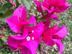 -点都德(广州白云山景区南门店)