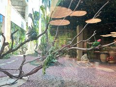 -麒麟中餐厅·经典粤菜·地道菜式老字号(广州长隆酒店)