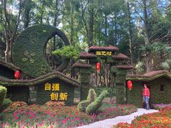 -东平国家森林公园