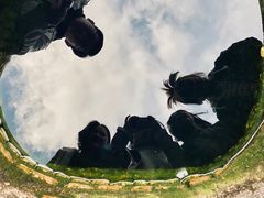 -水井拉粉油条(赤坎民国风情街店)