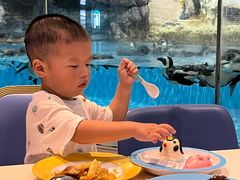 -帝企鹅自助餐厅•儿童岛•真企鹅(长隆企鹅酒店)