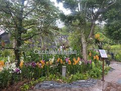 -新加坡飞禽公园