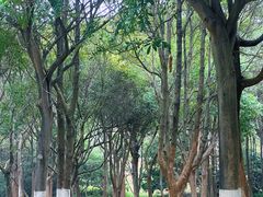 -东莞植物园