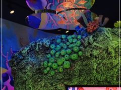 -沈阳海洋探索中心