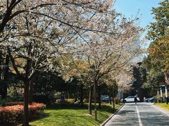 -衡山路(地铁站)