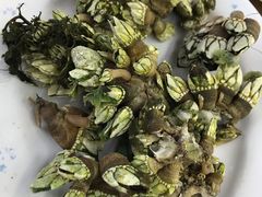 白灼狗抓螺-哈味食店(外伶仃岛店)