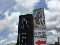 -鹿境梅花鹿生态园区