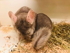 -龙猫仔乐园(惠福东路店)