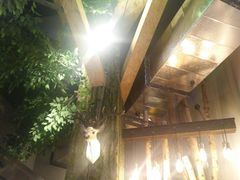 -酒肉行·虎子盐筋烤肉(大寨路店)