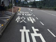 -大埔公路-马料水段香港中文大学(公交站)