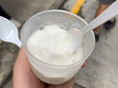 -洪馨椰子