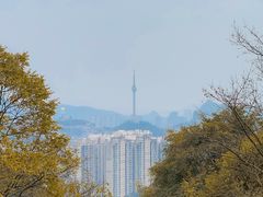 -贵州省植物园