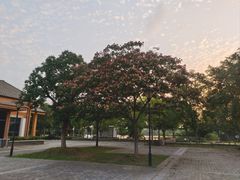 -金银湖国家城市湿地公园