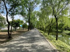 -广富林郊野公园