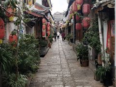 -木王宴语·野生鲜菌火锅(玉河店)
