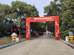 -上海都市菜园