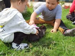 -洪湖家庭农场·团建·露营·会议