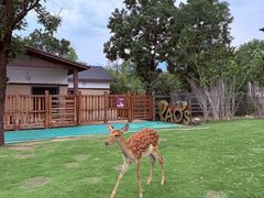 -太白山御龙湾温泉