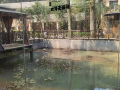 -天怡·鱼工厂(梅溪湖店)