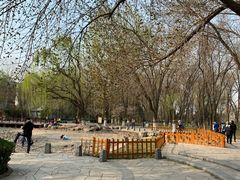 -玲珑塔公园