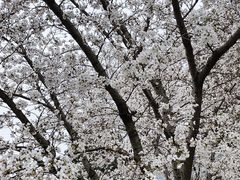 -河海大学(江宁校区)