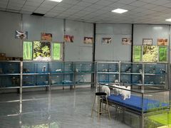 -南京宠物基地·宠物狗宠物猫售卖(南京店)