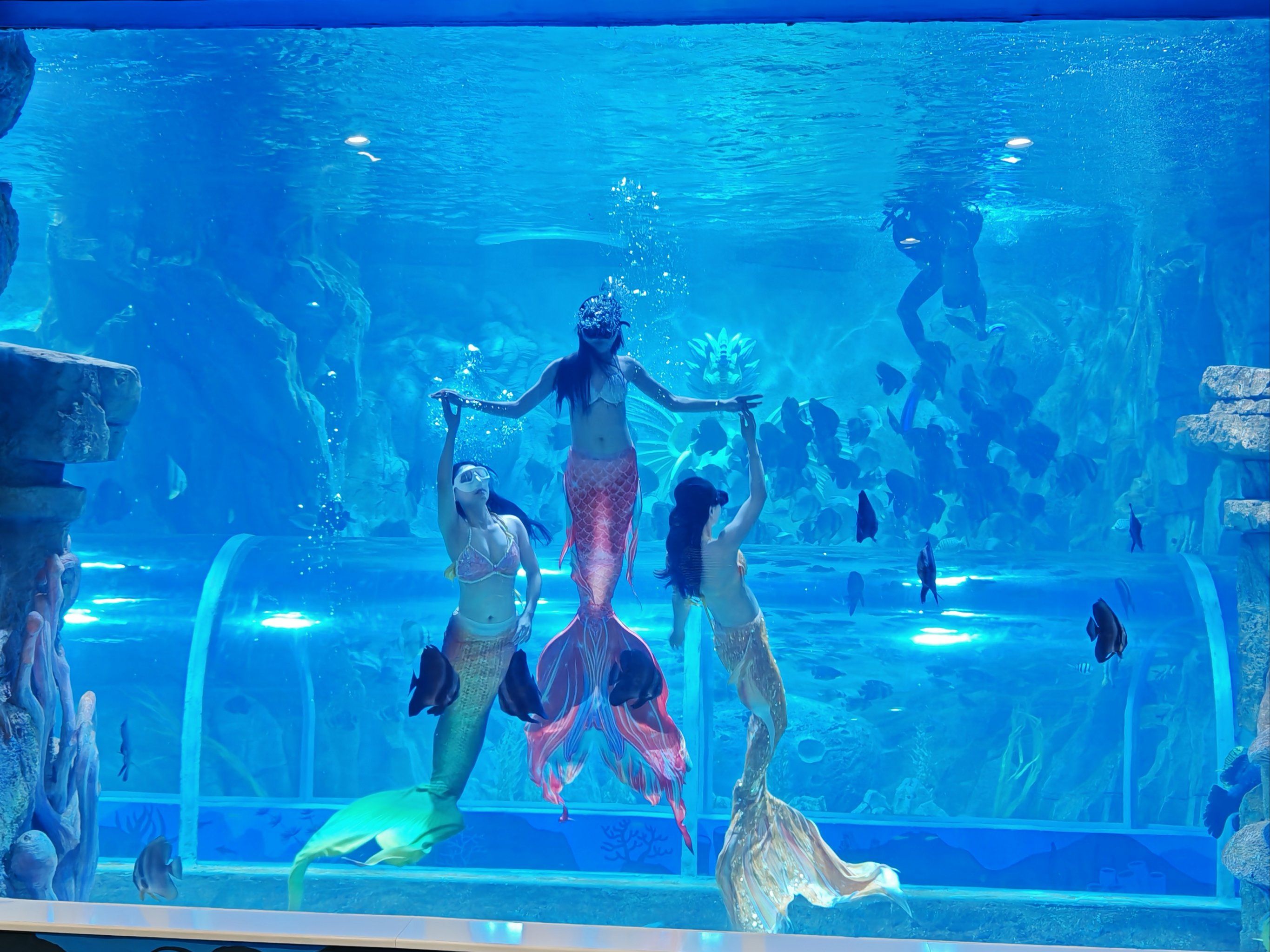 绝美美人鱼惊艳亮相✨北京打开新热点🔥