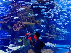 -多彩贵州城极地海洋世界