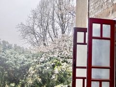 -武汉大学-樱园