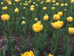 -长春公园(普阳街道)