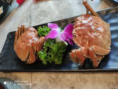 -沪小胖小龙虾(淮海中路旗舰店)