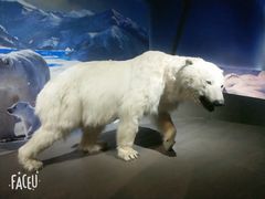 -贝林大翅鲸简餐厅(国家海洋博物馆店)