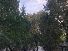 -千佛山风景名胜区