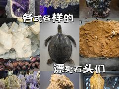 -游龙石文化科普馆