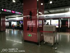 -潭村(地铁站)