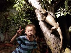 -南山植物园