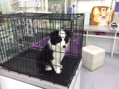 -达爱动物医院·犬猫分区·CT·复杂眼科(远洋山水分院)