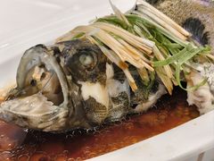 清蒸老虎斑-万龙洲海鲜(大兴绿地缤纷城店)