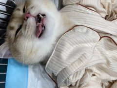 -荔康动物医院(康王北路店)