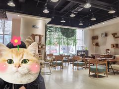 -藏猫猫咖啡主题馆(中央大道店)