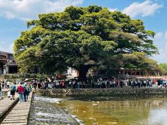 -南靖田螺坑土楼群景区