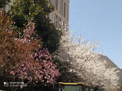 -上海总工会黄浦区工人体育馆-停车场