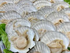 -旺角小渔村(幸福中路店)