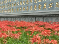 -西安大兴善寺