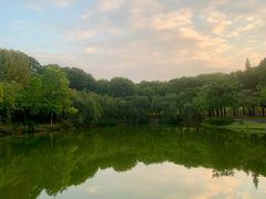 -华南师范大学(广州大学城校区)