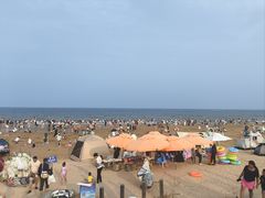 -日照海滨国家森林公园