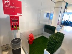 -蒙特利尔皮埃尔·埃利奥特·特鲁多国际机场