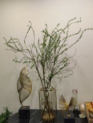 点击看大图 -金夫人婚纱摄影(华南店)