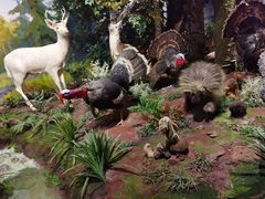 -陕西自然博物馆