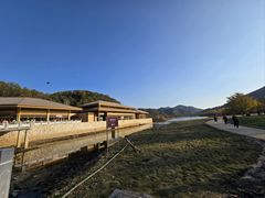 -千年银杏谷文化旅游区
